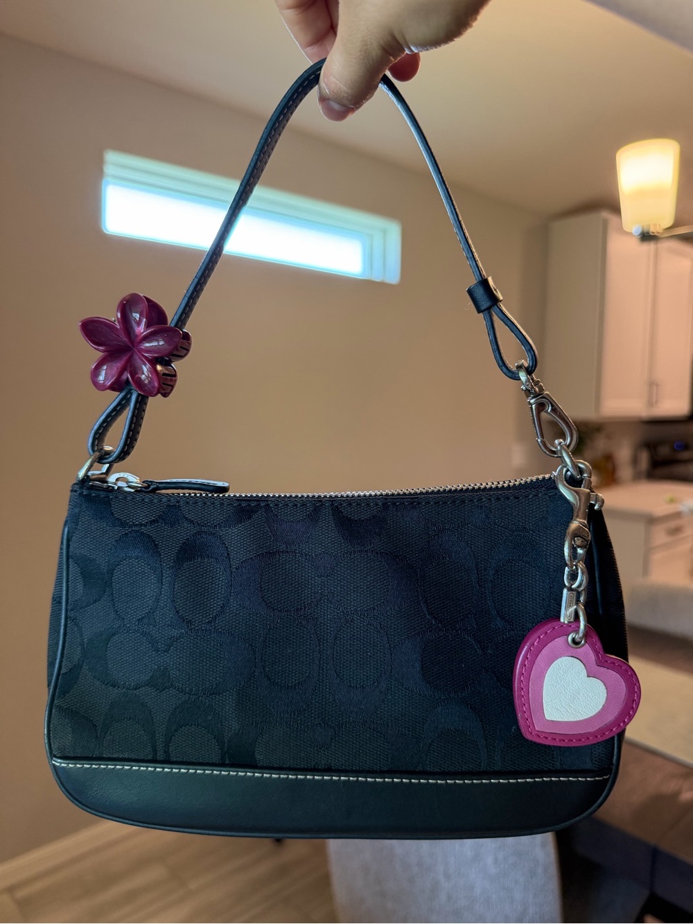 Coach Black Signature Canvas Demi shoulder bag with silver hardware